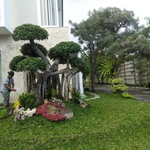 jogja taman
